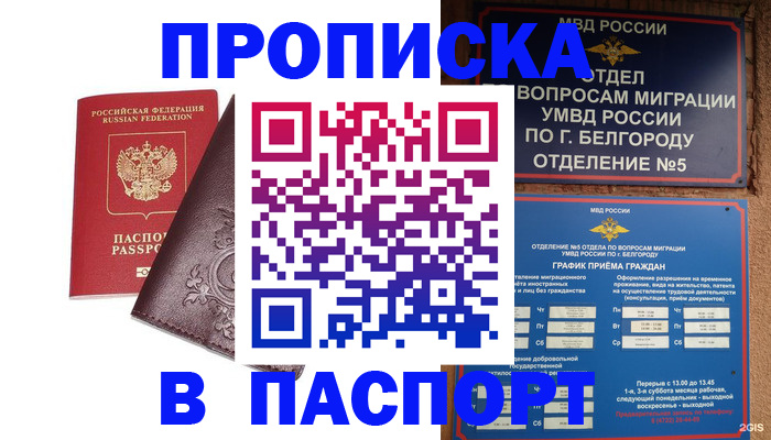 прописка поиск в Орехово-Зуево